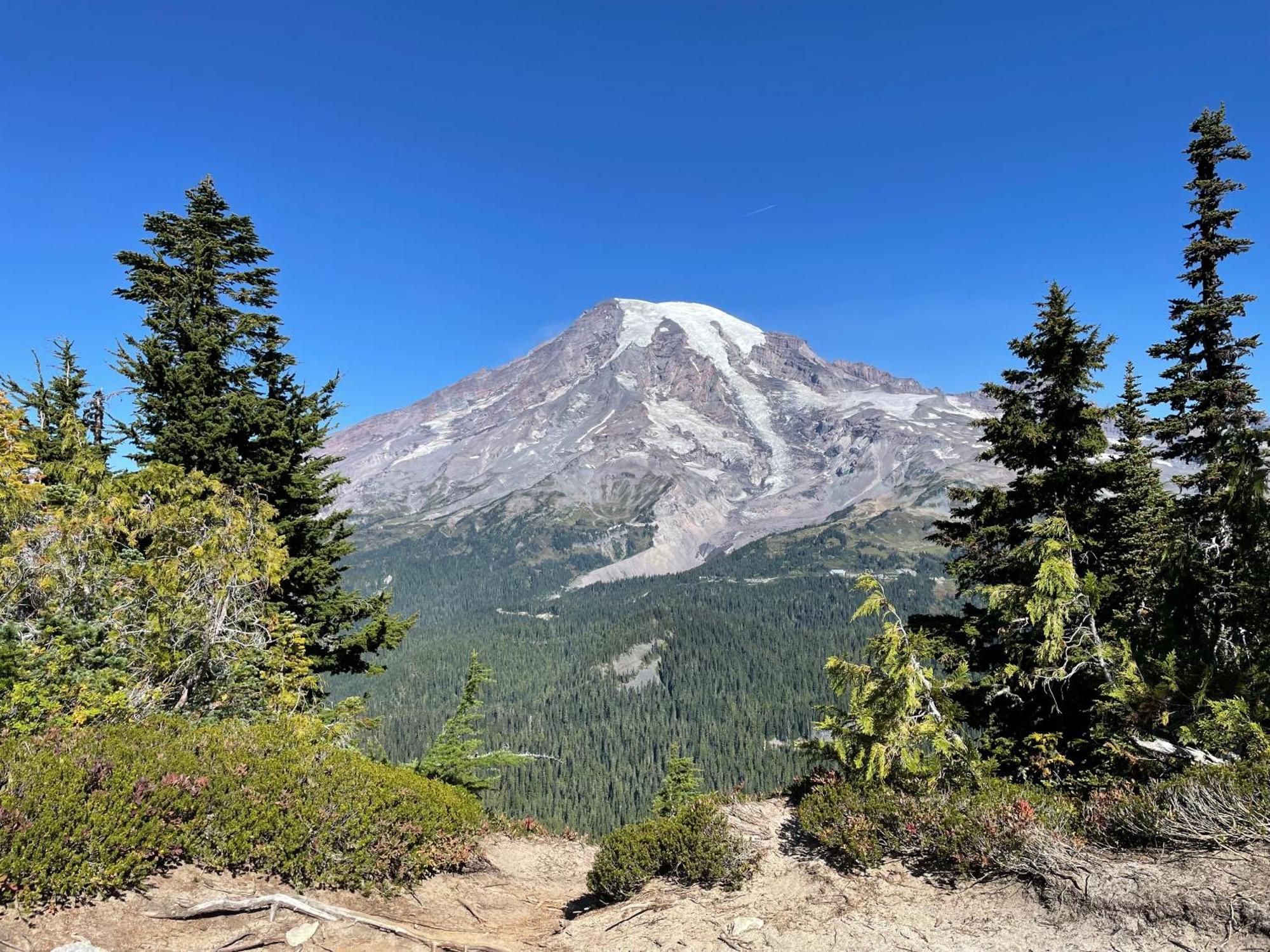 New Modern Cabin! 5Mi To Mt Rainier National Park! Hot Tub & Wifi Ashford Bagian luar foto