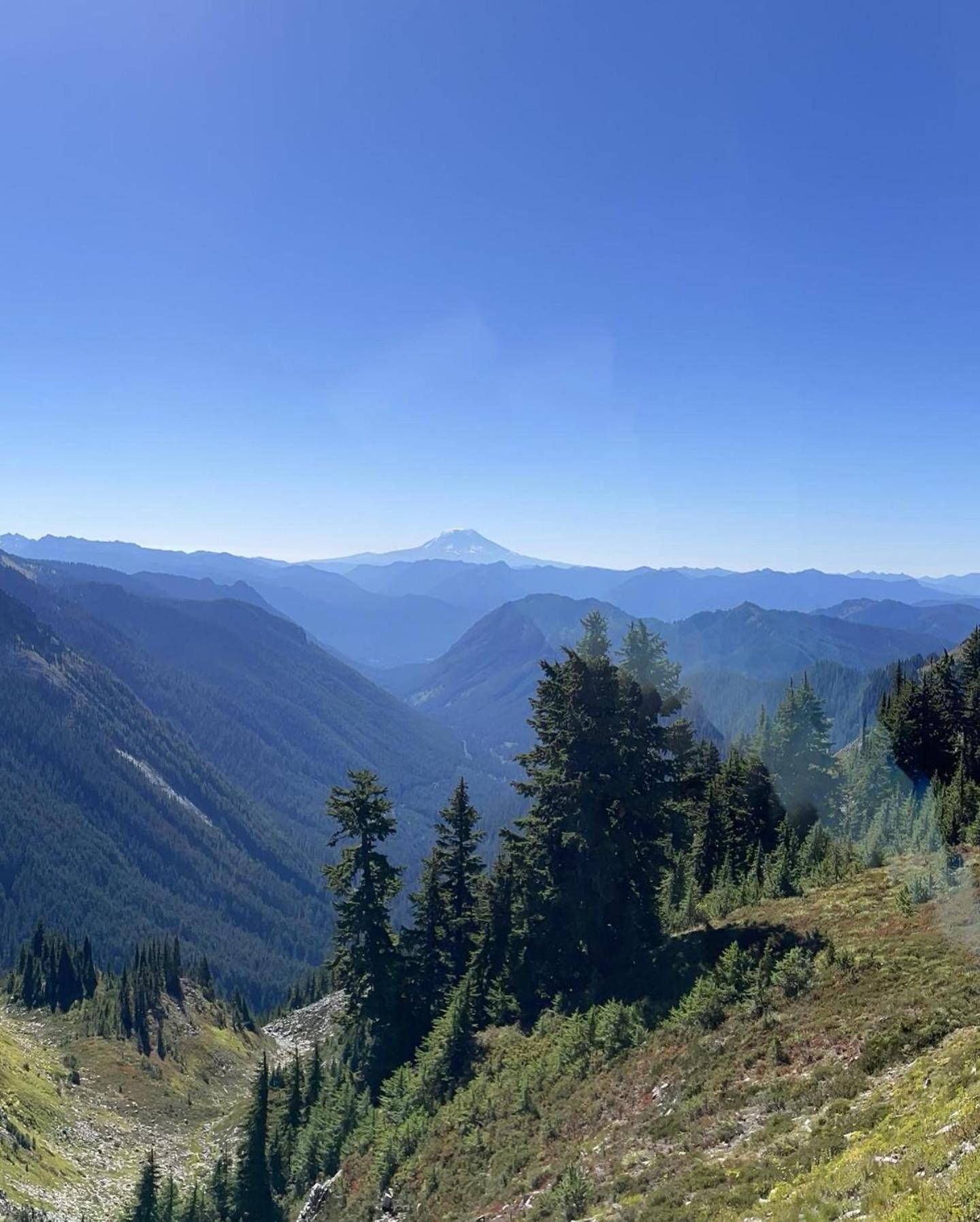 New Modern Cabin! 5Mi To Mt Rainier National Park! Hot Tub & Wifi Ashford Bagian luar foto
